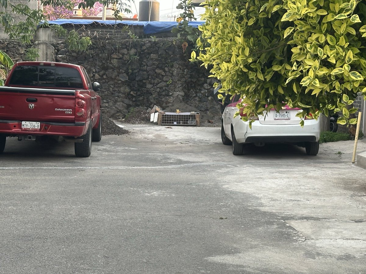 Daniela Reyes Romero tweet media