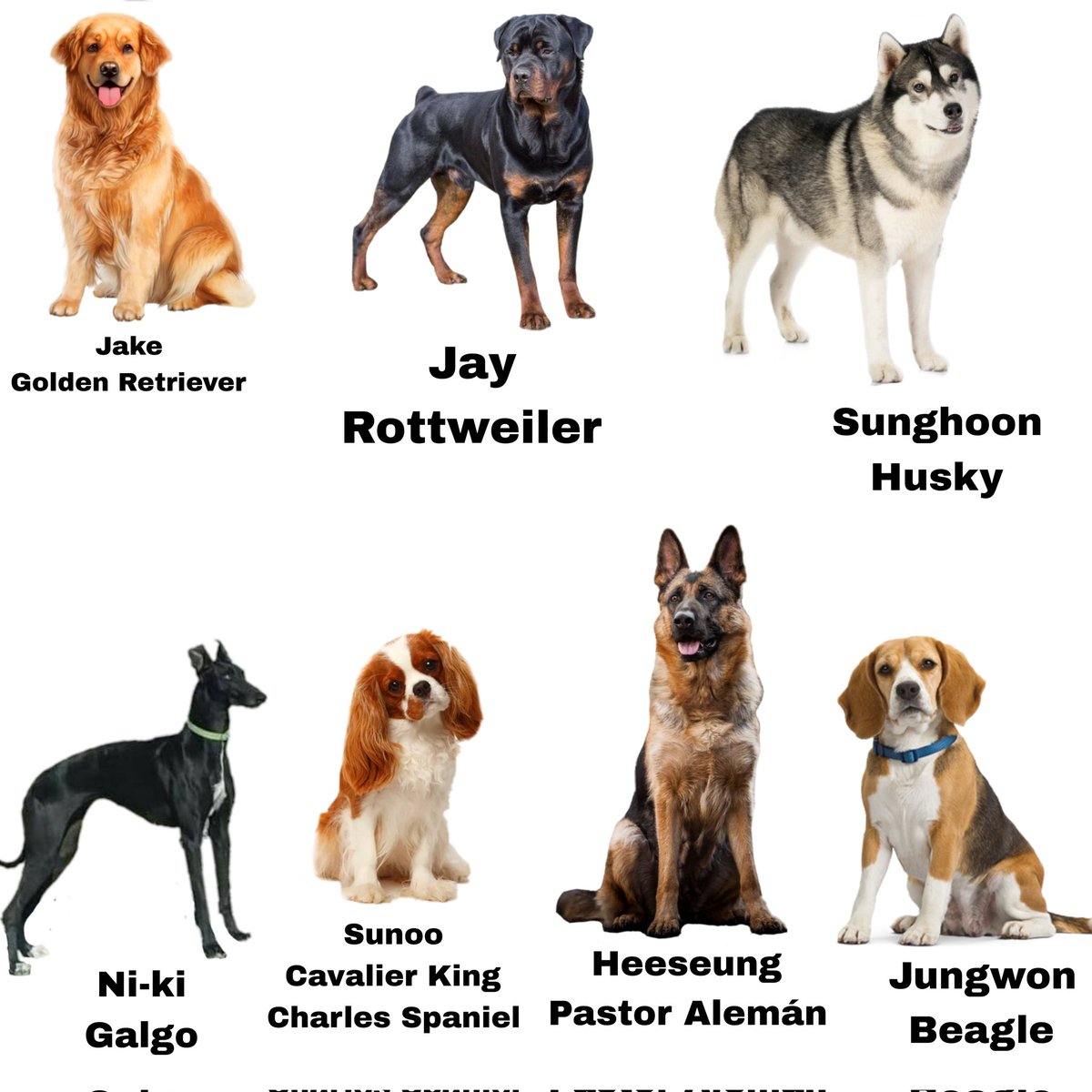 nana🐈⬛ enhypen is 7 !!!lcdtm tweet media