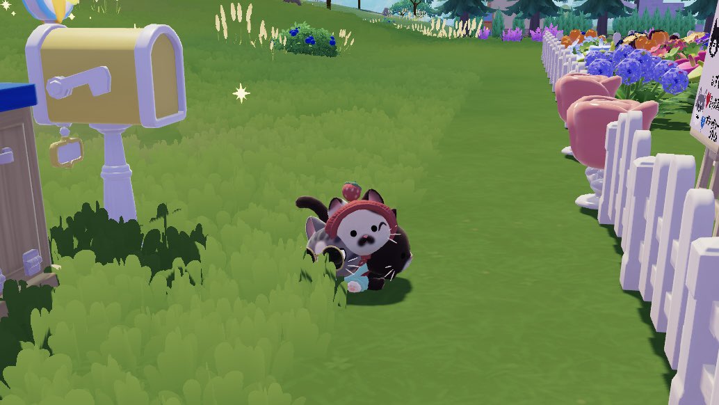 月熊りと🧸🌵 tweet media