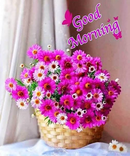 Good morning dosto....💐💐💐💐💐