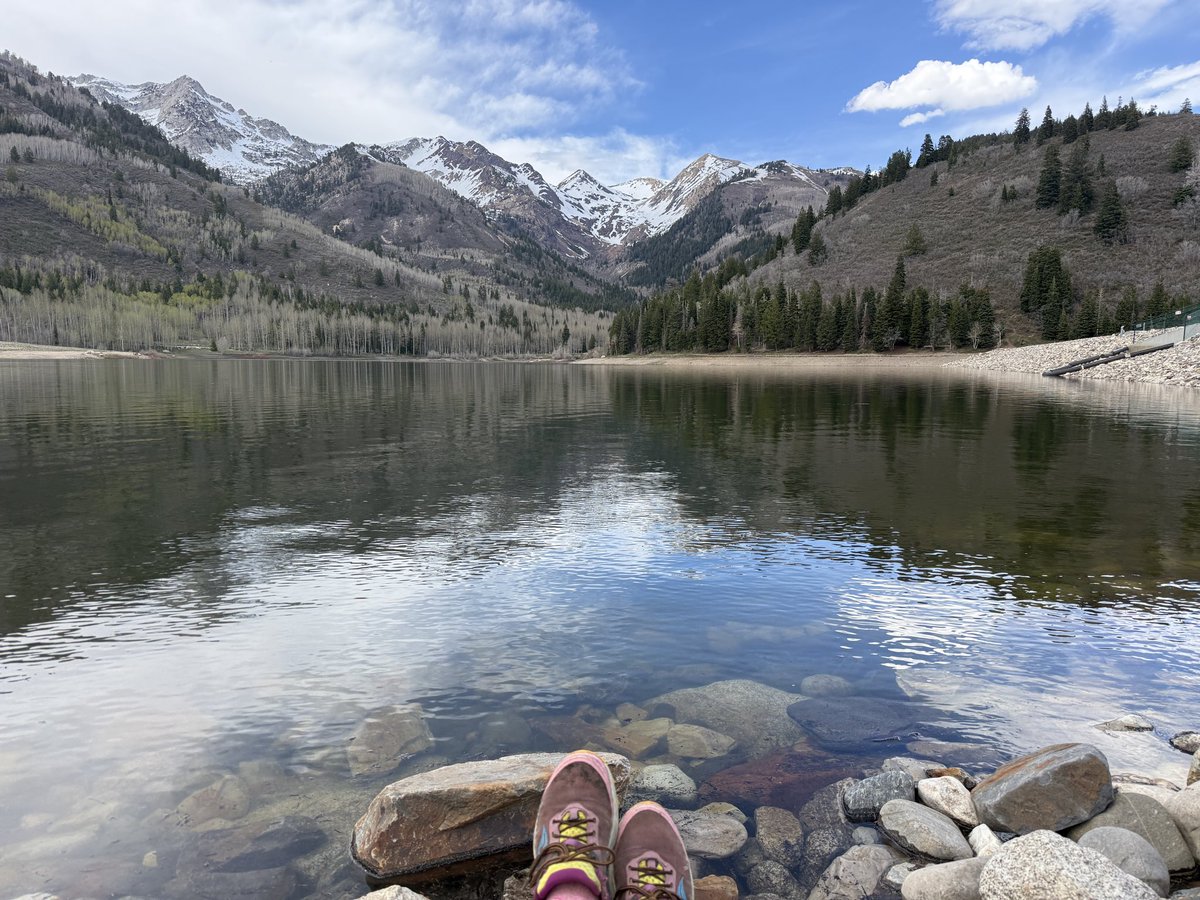 justanotherhiker tweet media