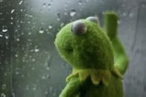 Rick Arnold tweet media