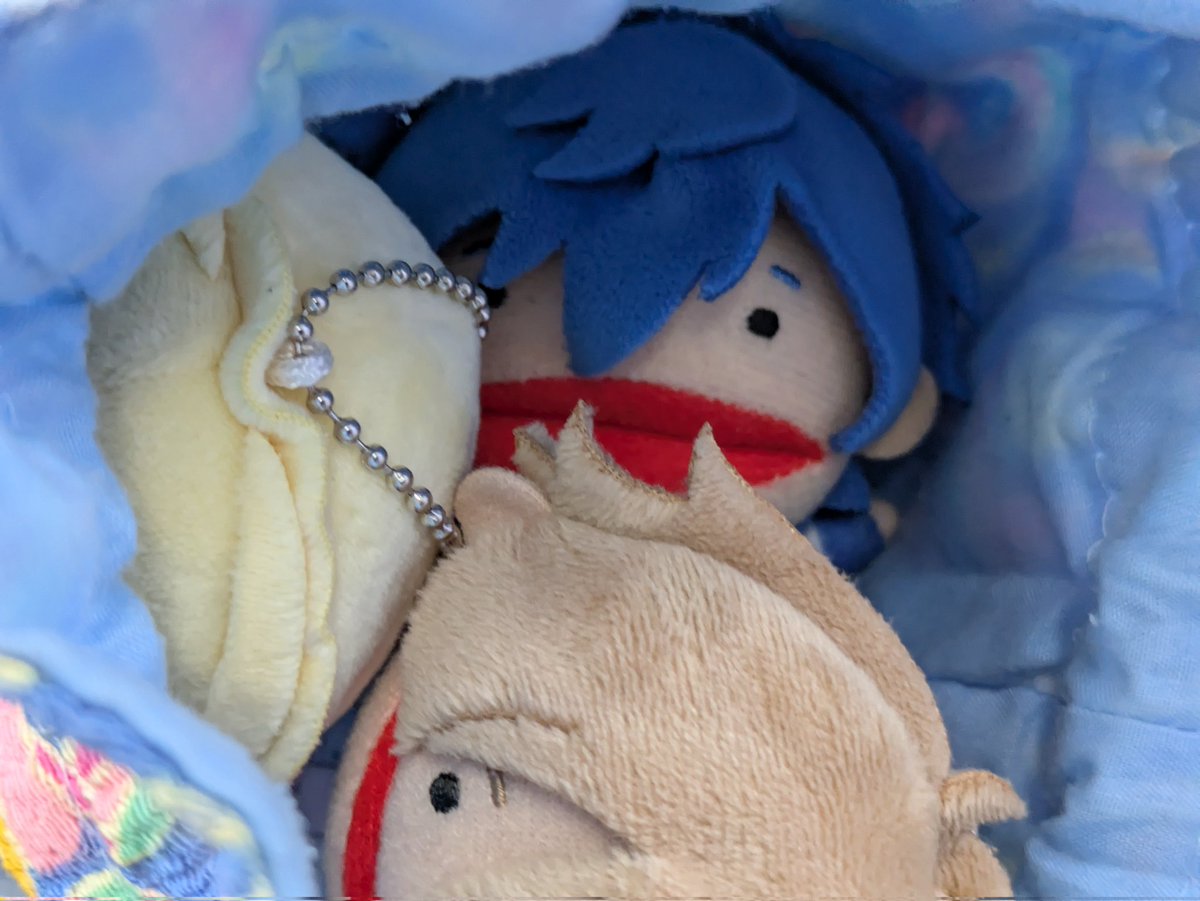 びびびっと tweet media