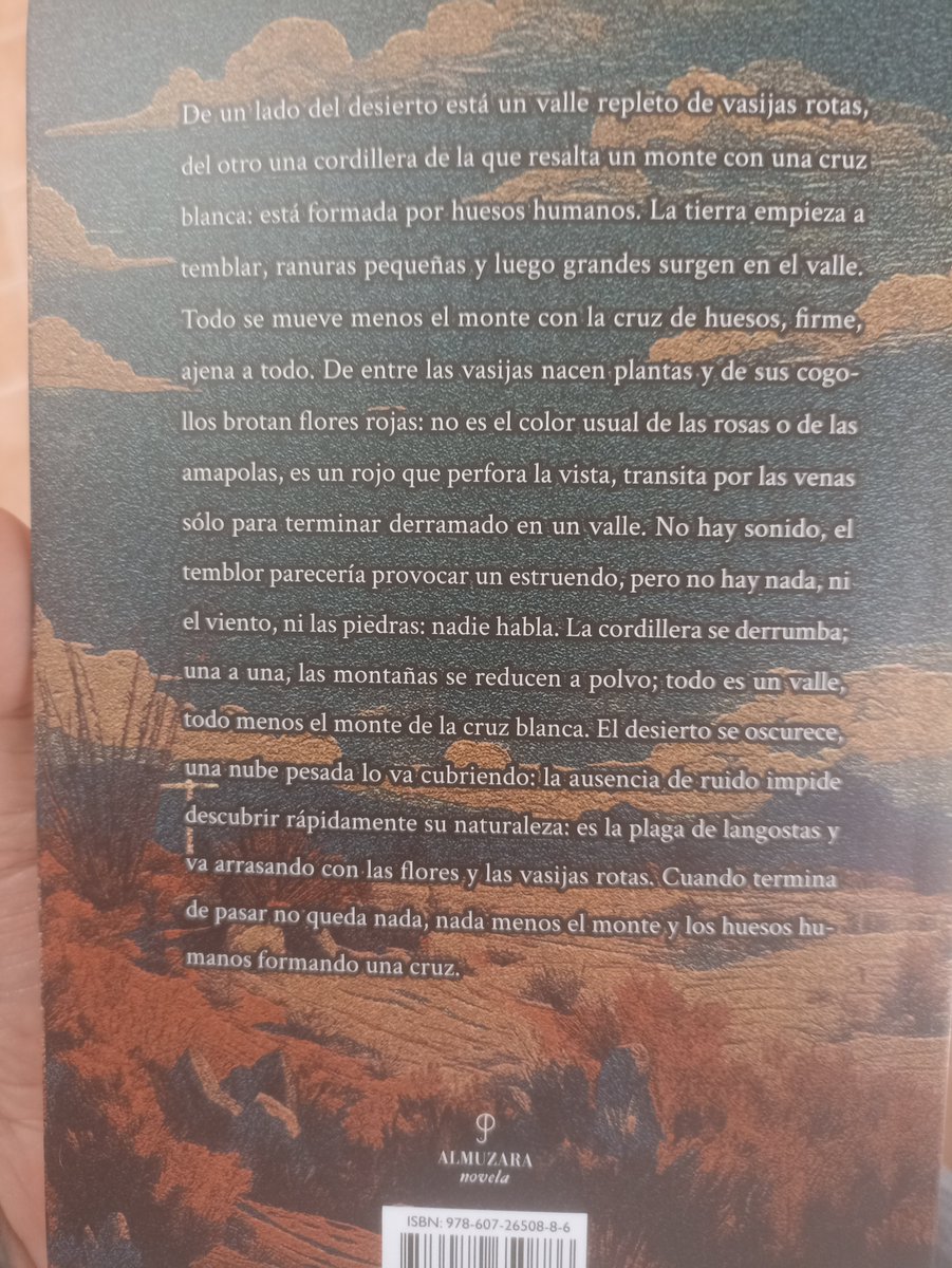 Danush Montaño tweet media