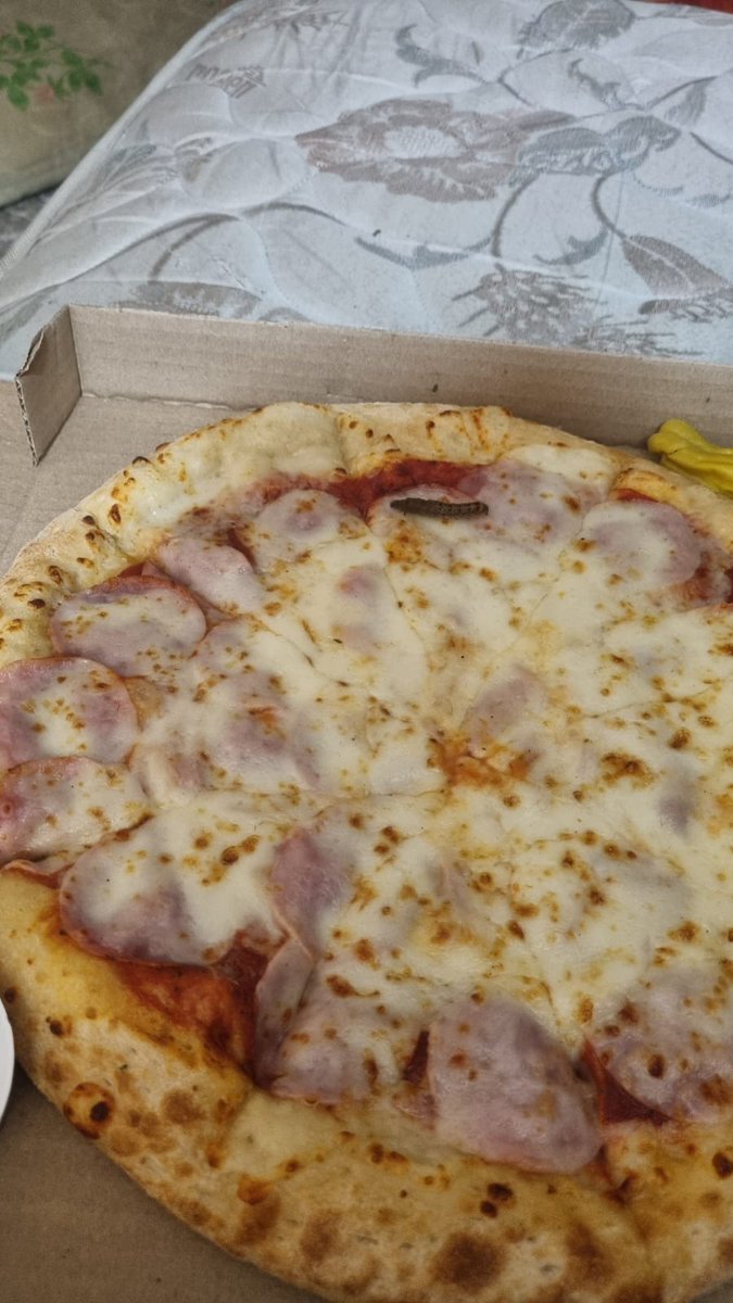 Hatzive_ls's tweet photo. @papajohnschile 
Como es posible que envíen pizzas con gusanos, nos dio tanto asco que botamos todo el pedido...
Realizamos el pedido en el papa johns de santa julia, viña del mar. https://t.co/TZqH8Zd7sZ