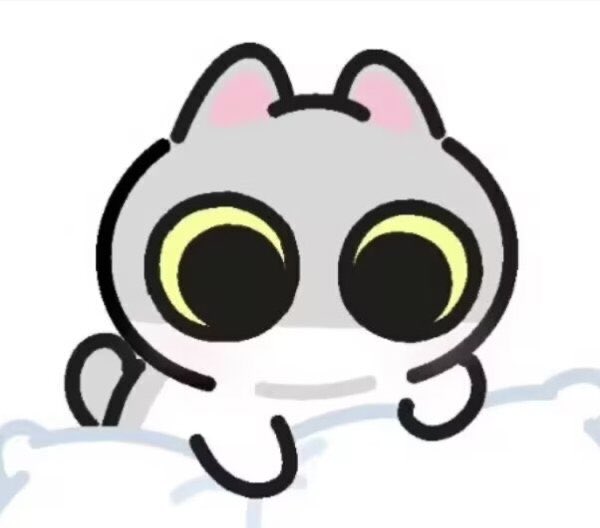 橘子籽 tweet media