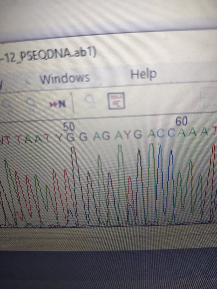 El Sapón tweet media