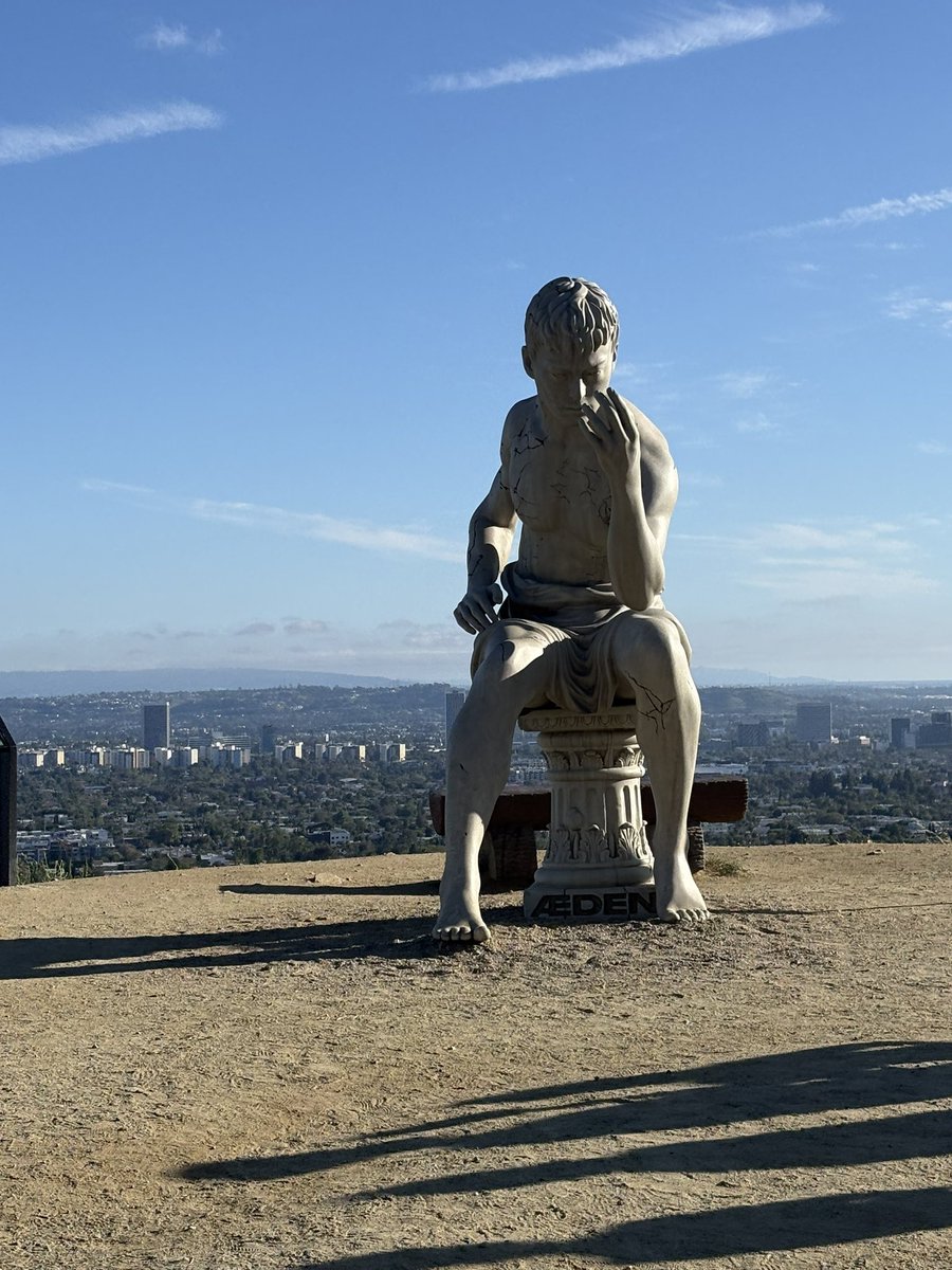 lizardBoi tweet media