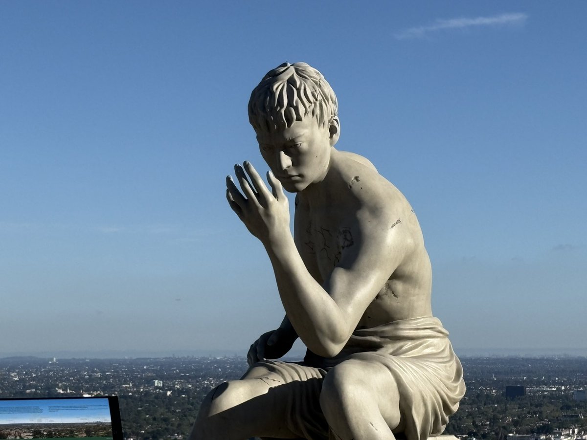 lizardBoi tweet media