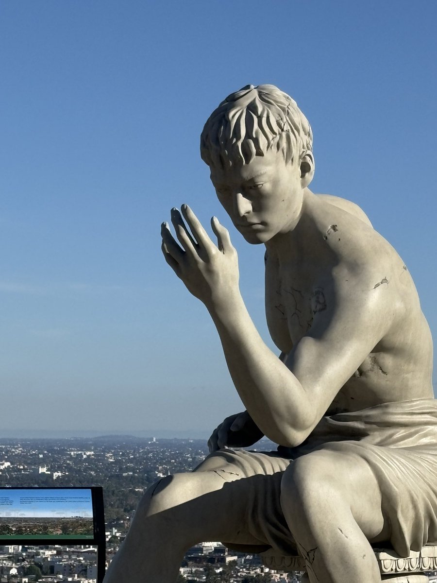 lizardBoi tweet media