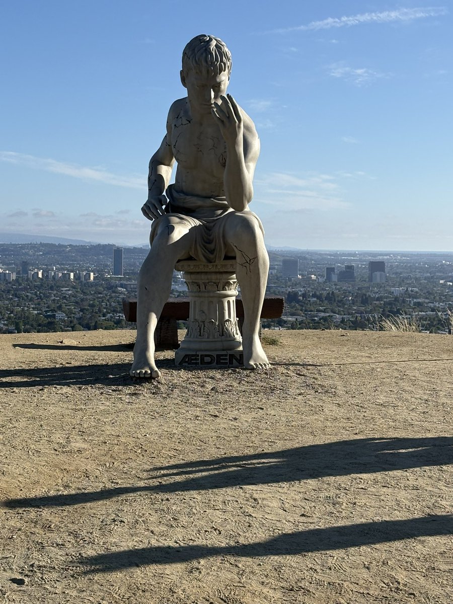 lizardBoi tweet media