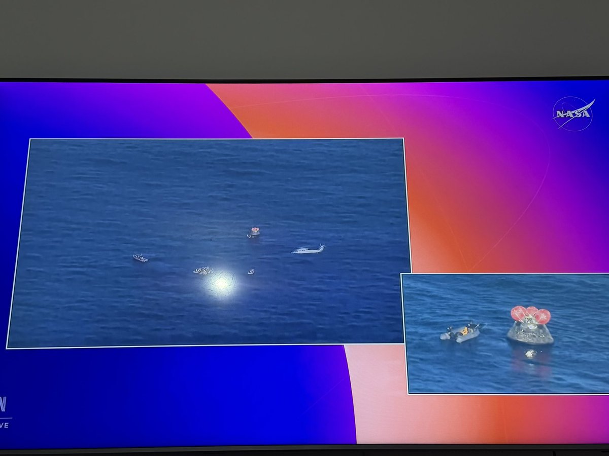 Maldita Summer tweet media