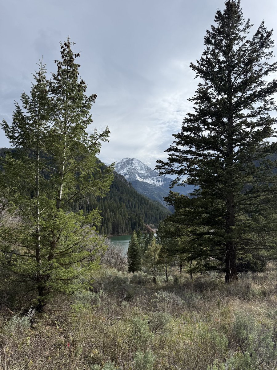 I love Utah.