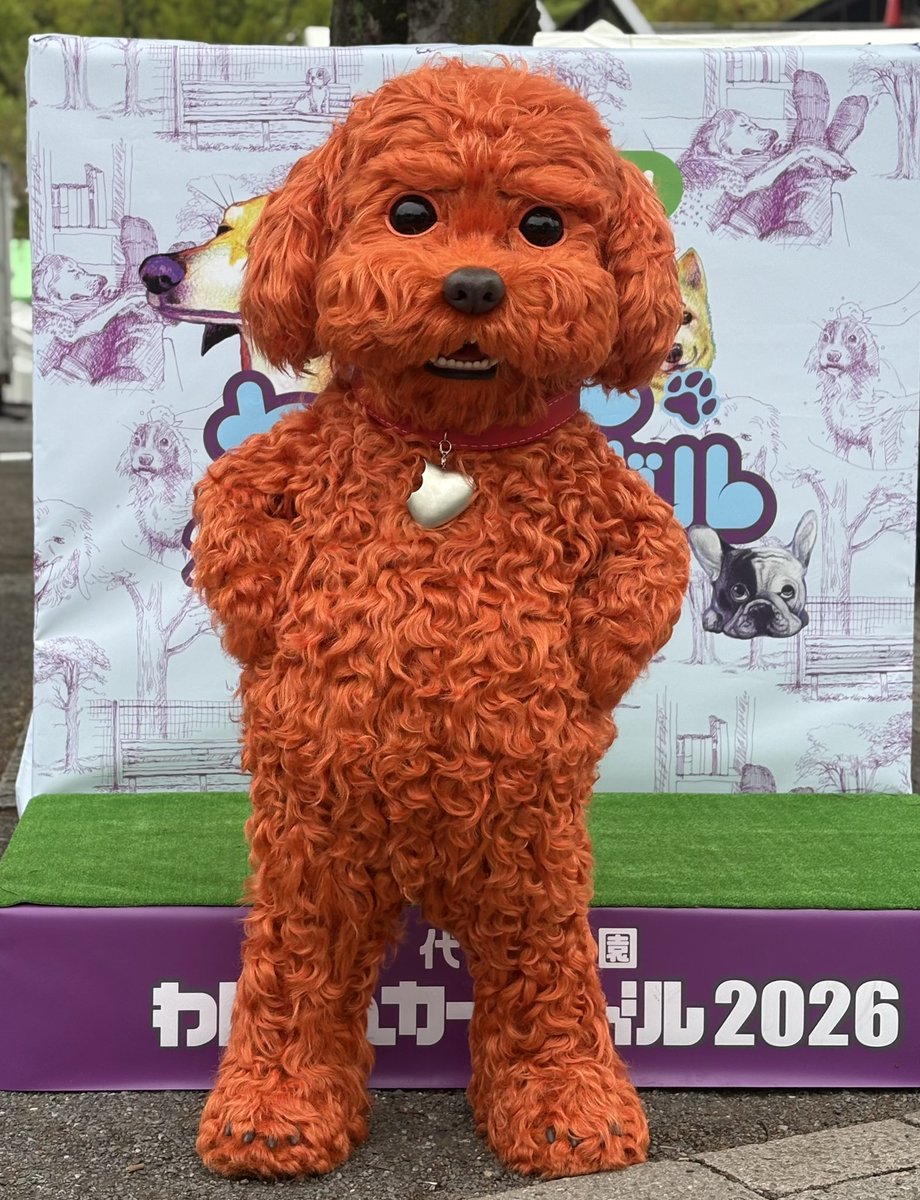 デカプー tweet media