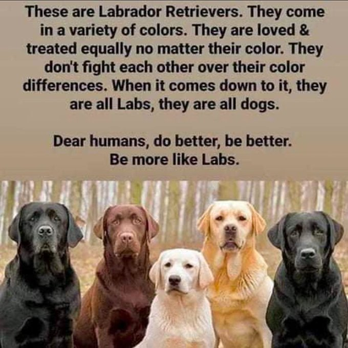 Social Hypocrisy tweet media