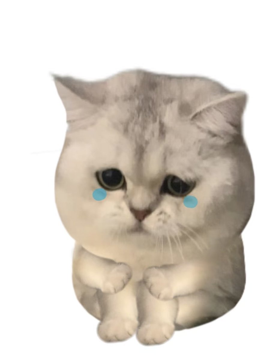 奥特之母 tweet media