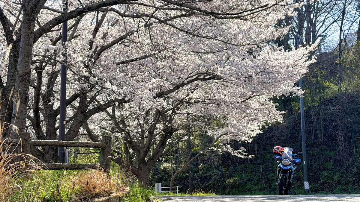 レプソってる？ tweet media