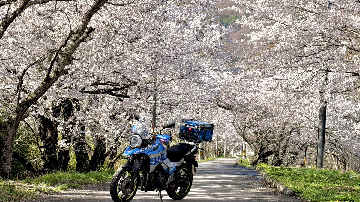 レプソってる？ tweet media