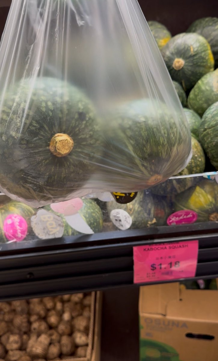 𝗺𝗮𝗿𝗶𝗻𝗮 🇨🇦 👧🏻1y tweet media