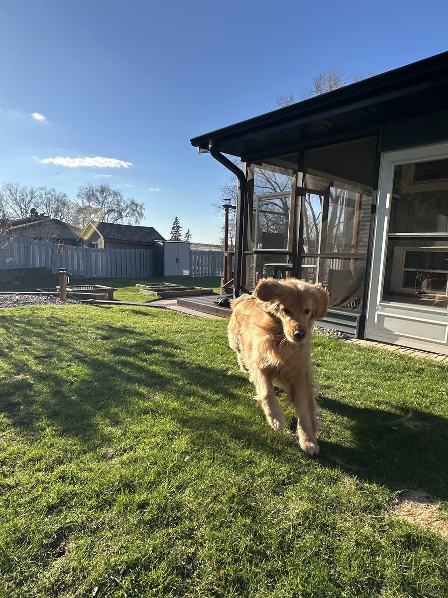 Graham Schroeder tweet media