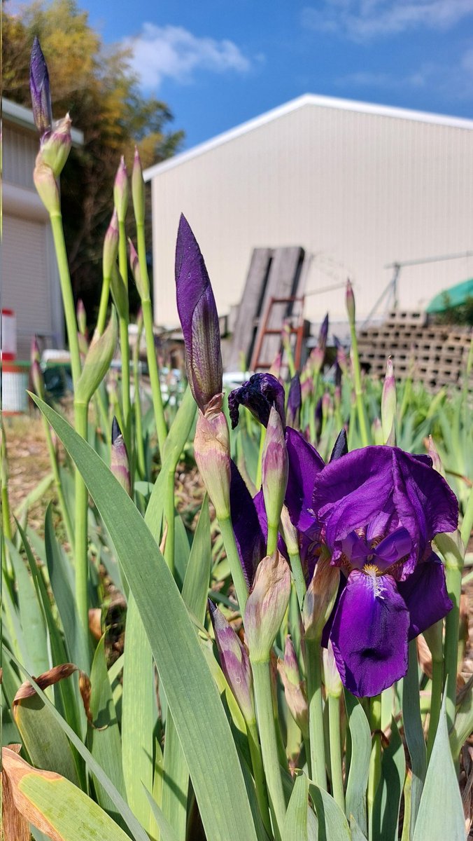 こもらべ tweet media