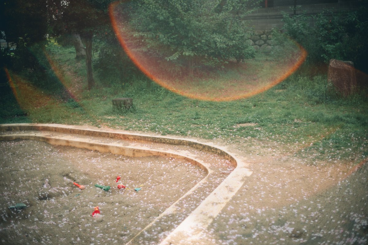 pe_young35's tweet image. 花も散るから美しい #Voigtlander