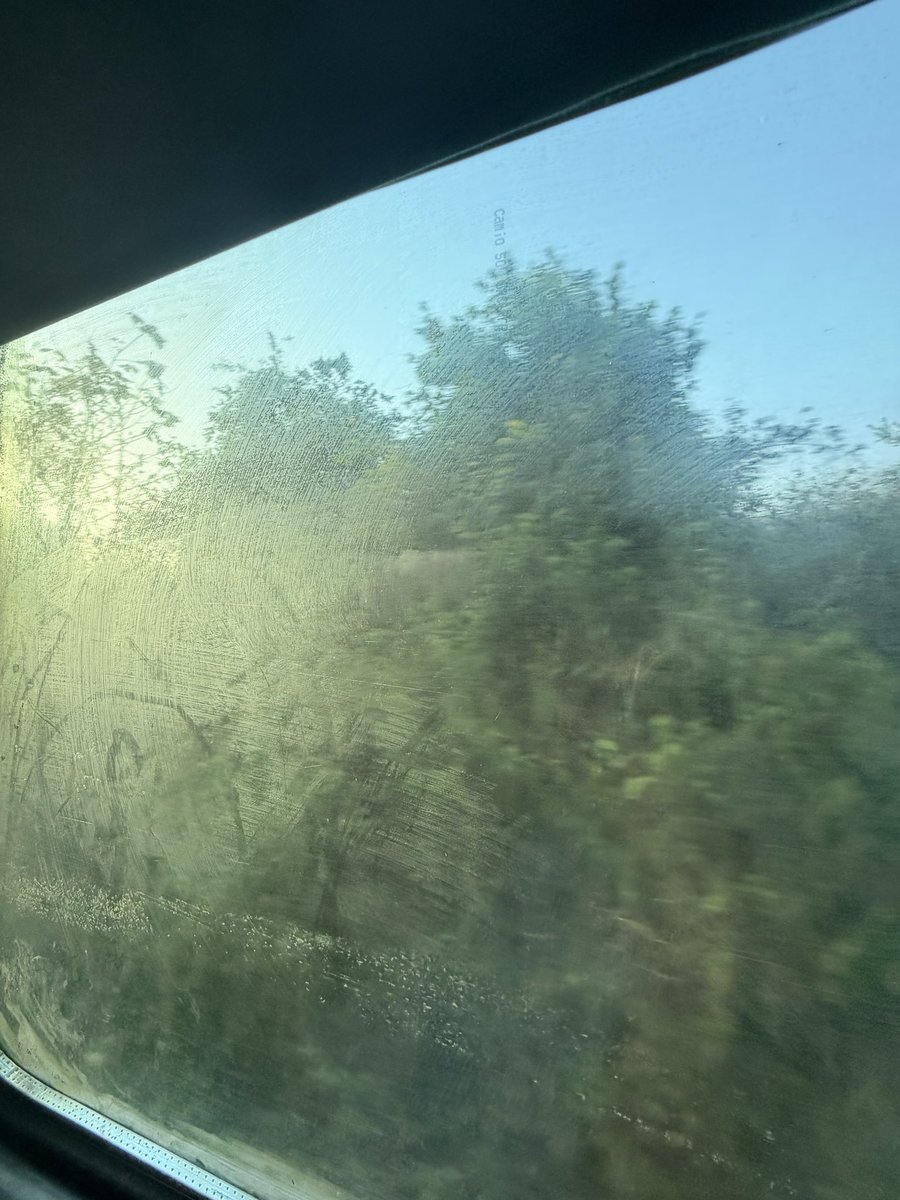 ghostfacegang_'s tweet photo. “@RailwaySeva @IndianRailways
Travelling in Train No.12340, Coach C1 Seat 75 The window is extremely dirty and unhygienic. Kindly arrange cleaning at the next station.
PNR: 6101520931
#RailwaySeva” https://t.co/C7W6dxwppu