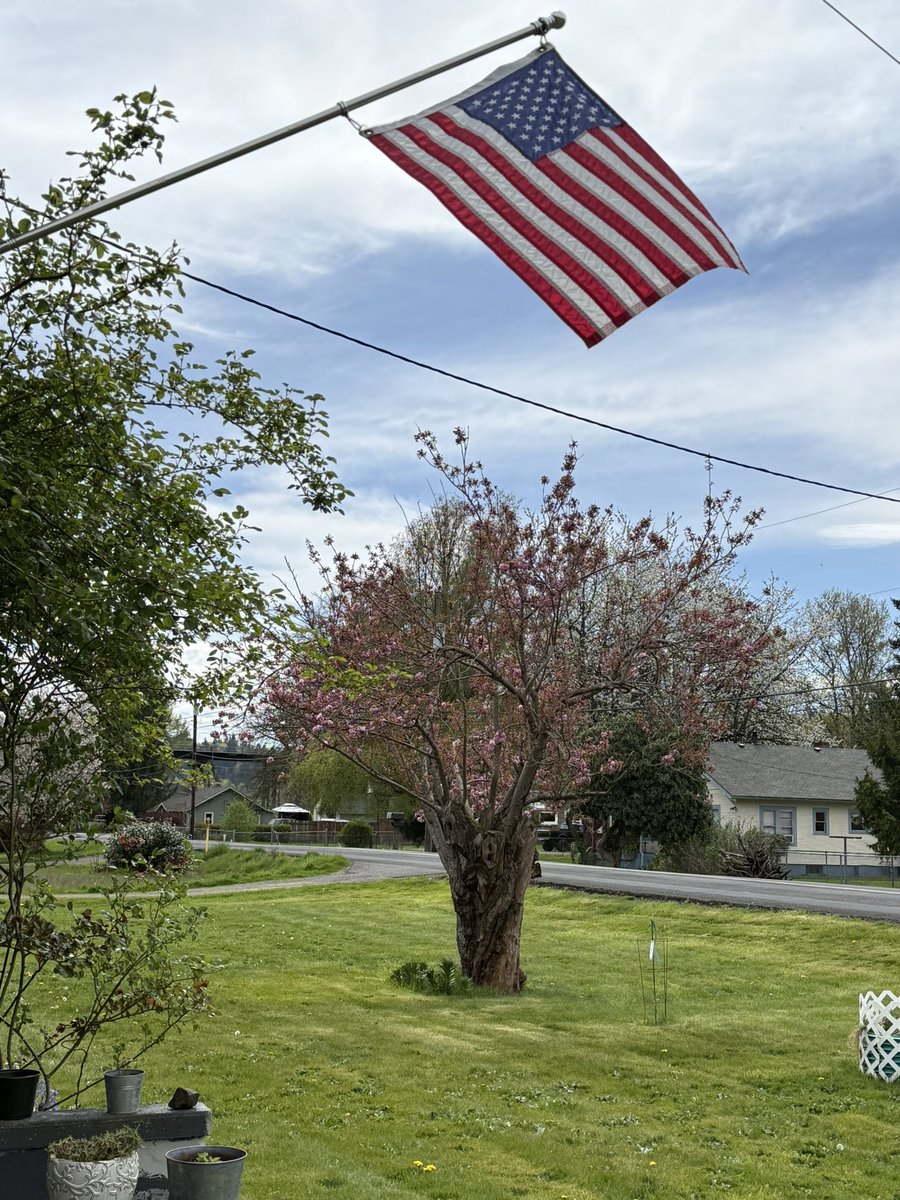 Rodger Young tweet media