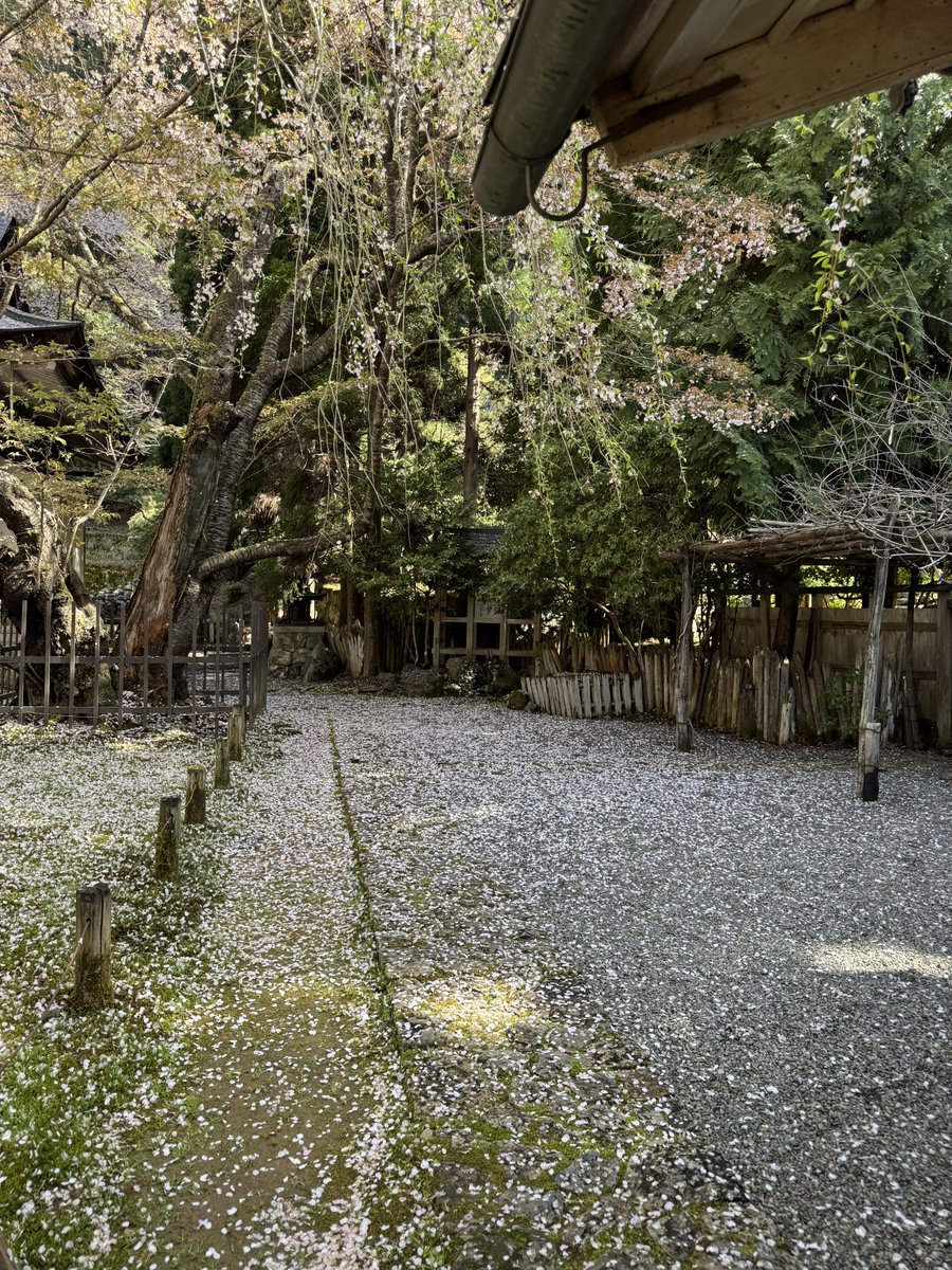 京都よきかな (@kyoto_yokikana) / Posts / X