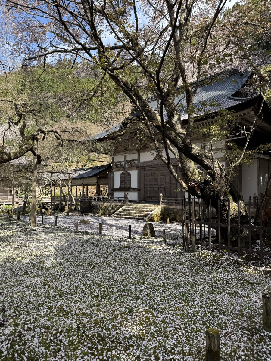 京都よきかな (@kyoto_yokikana) / Posts / X