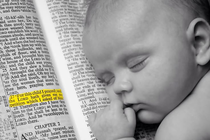 SCRIPTURESSAYS's tweet photo. Amen https://t.co/MOpenNrZxG