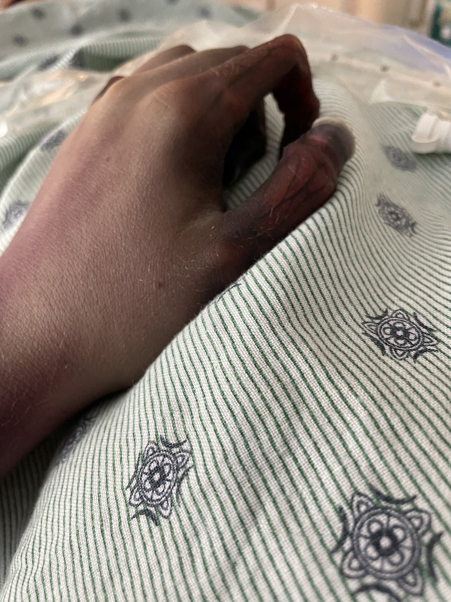 Shanna Carroll tweet media