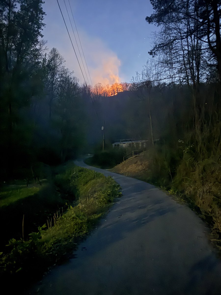 Shane Smith tweet media