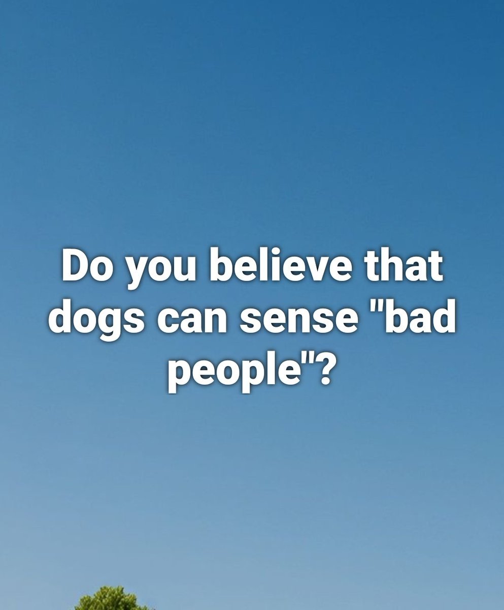 Jessica ❤️ tweet media