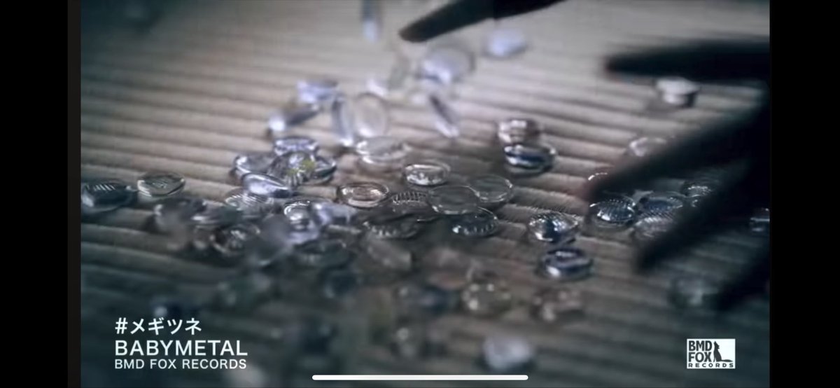 ウマ - 台湾原生馬 tweet media