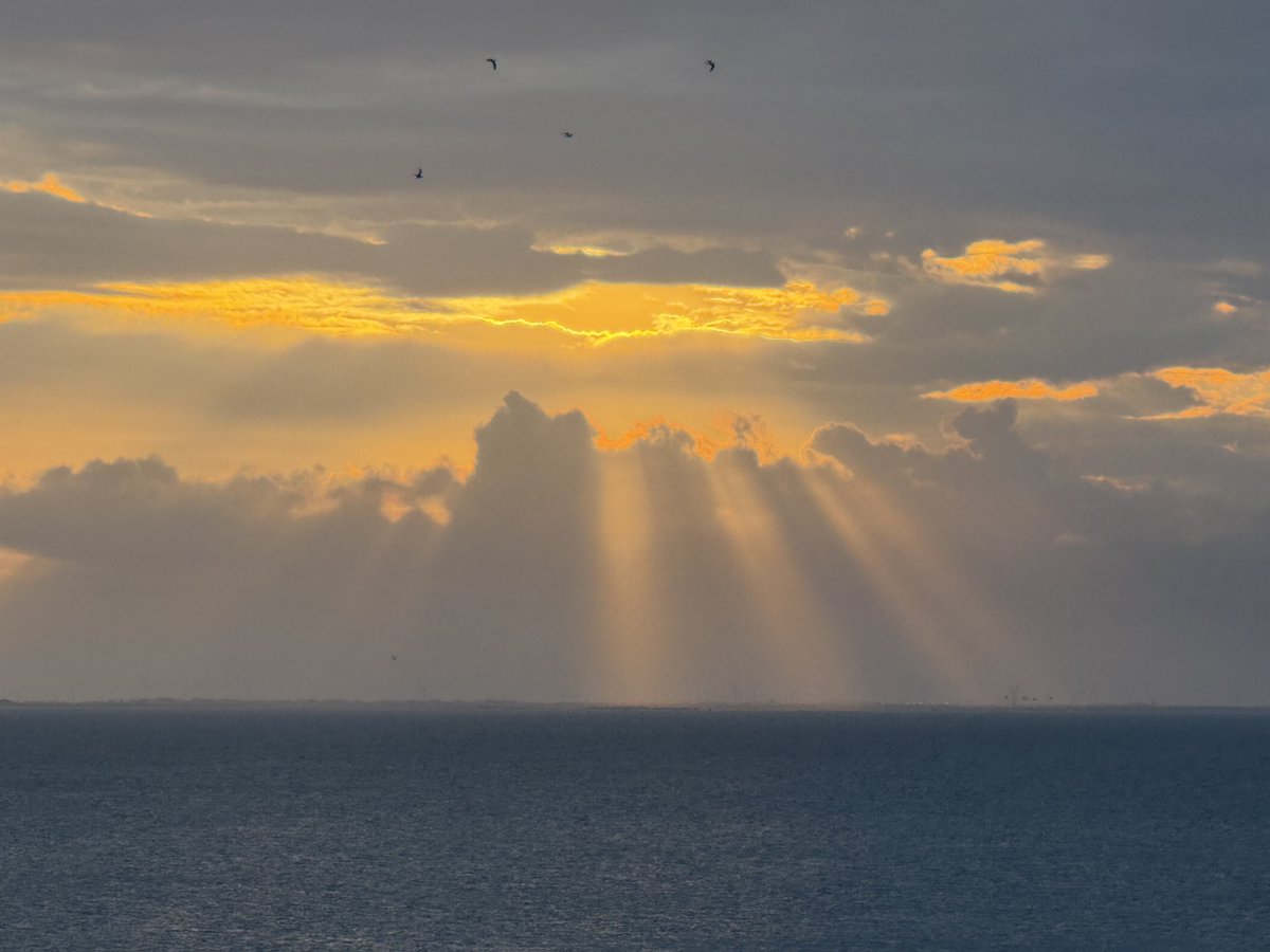 Alan Lefever tweet media