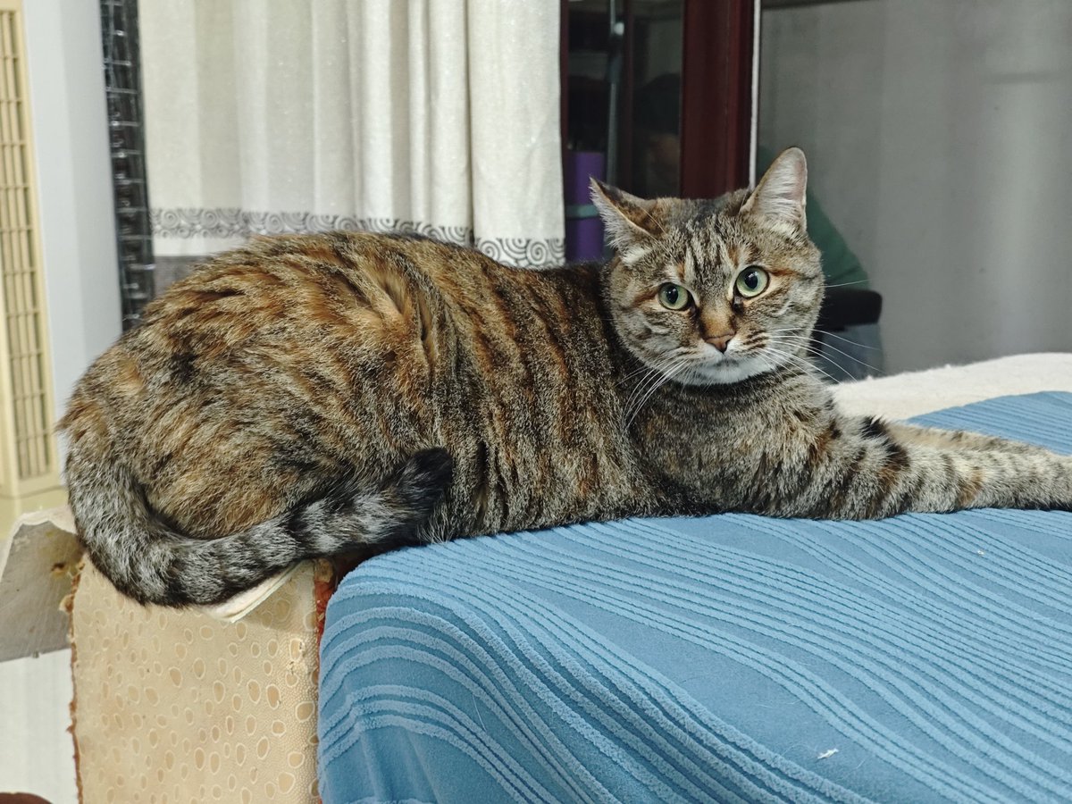 鲨了我吧 tweet media