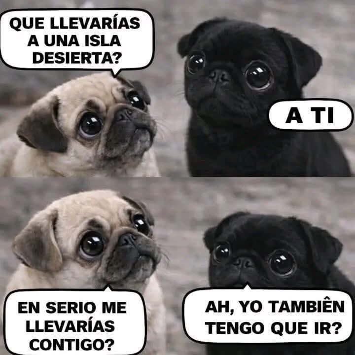 thememegirlsv's tweet photo. Jajajajaja https://t.co/fYAnJwI9y7