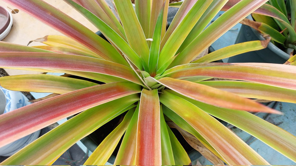 こもらべ tweet media