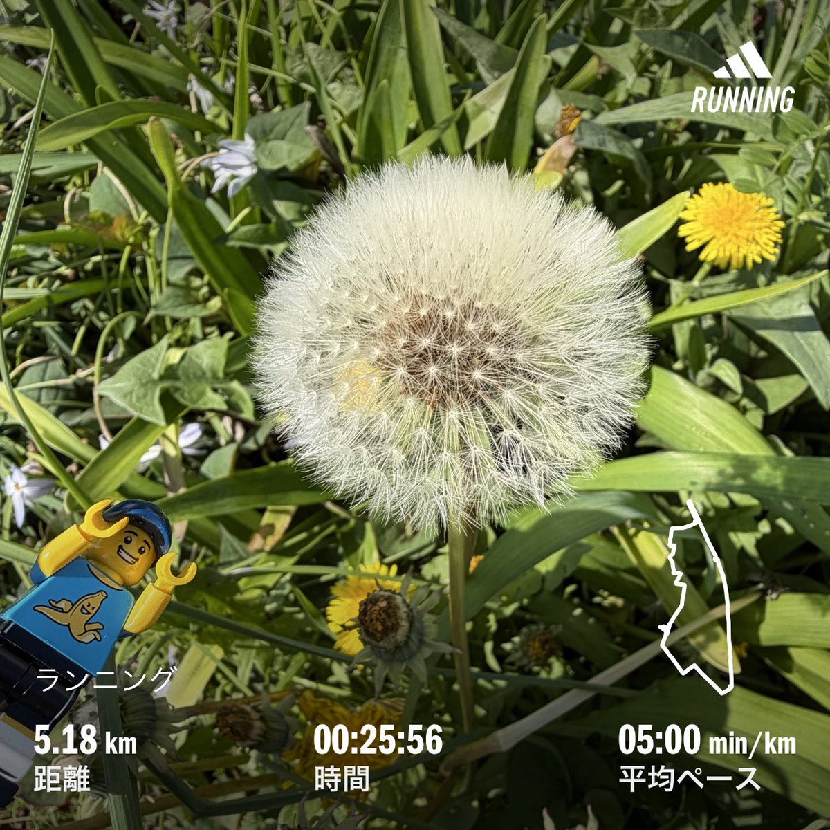19yataman's tweet image. ☀️おはようございます🌞
近所の おじいちゃんが片足立ちトレーニングしてるとこに「おはようございます☺️」て挨拶したらフラついちゃったよっす🫨
お邪魔して ごめんなさい〜😅🙏
今日も張り切って いきましょう‼️👍
341km/1200km
#ランニング
#running
#朝活
#年間目標1200km
#LEGO