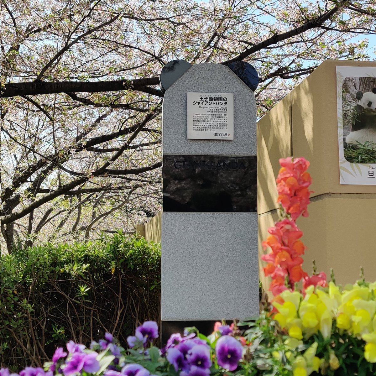 PANDA MOON tweet media