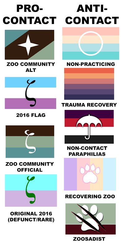 RoCatchers tweet media