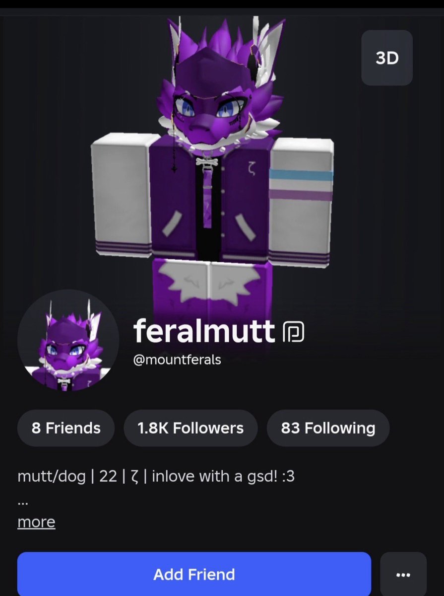 RoCatchers tweet media