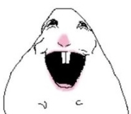 Hysterical Panda tweet media