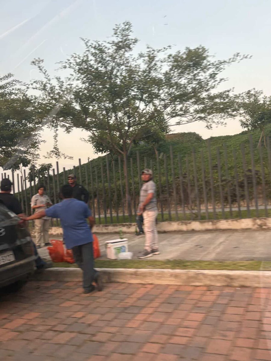 Alerta Sambo tweet media