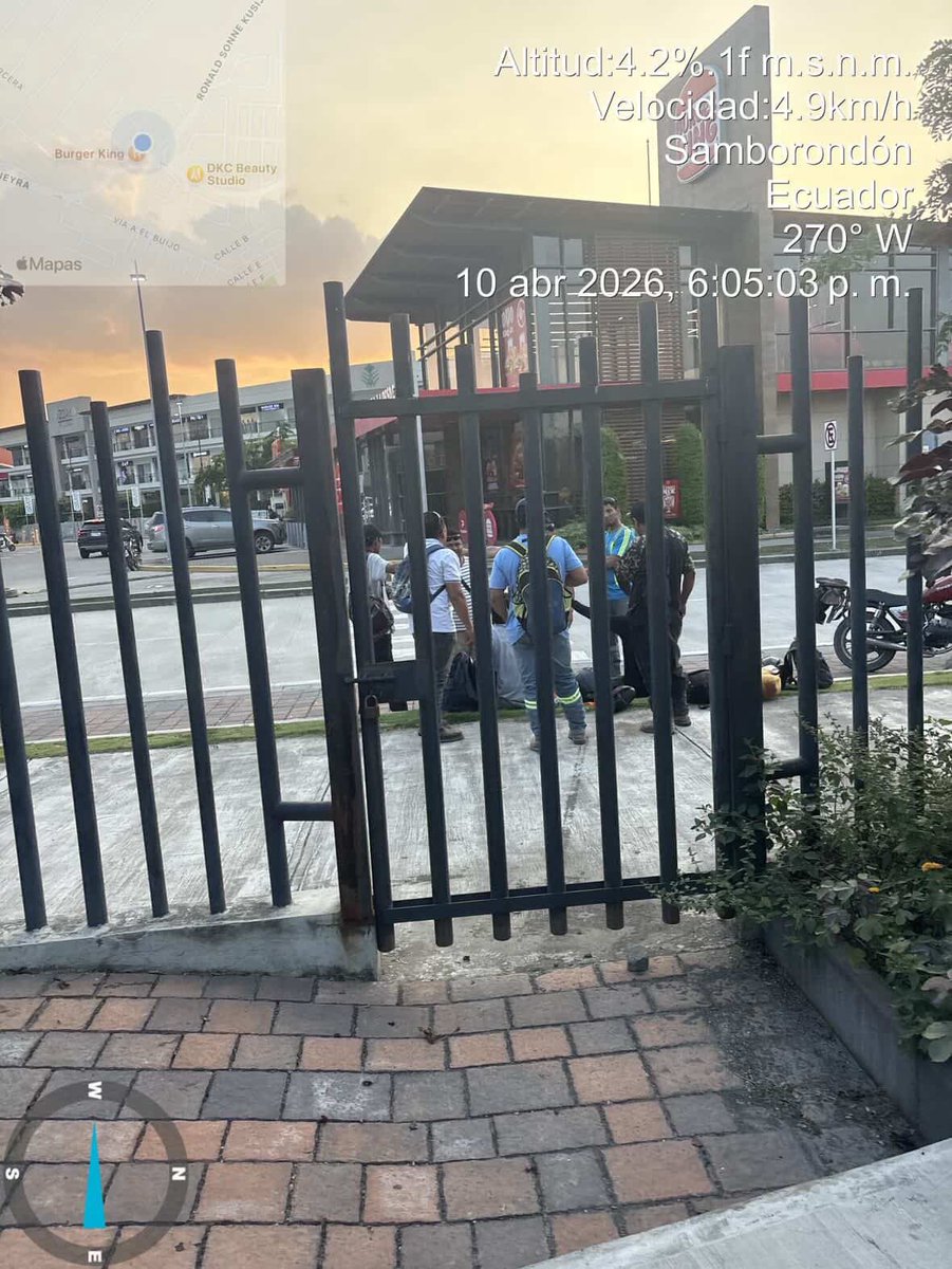 Alerta Sambo tweet media