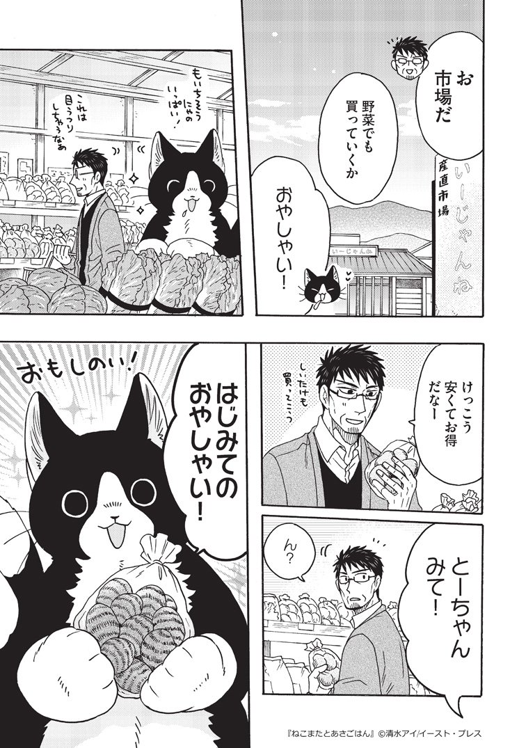 清水アイ 🐱『ねこまたとあさごはん』第4巻発売中🐾 tweet media