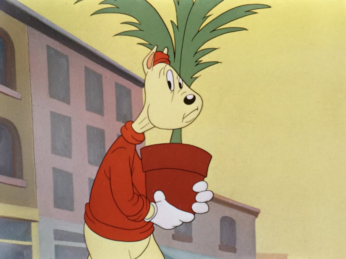 Miss Ligeiro tweet media