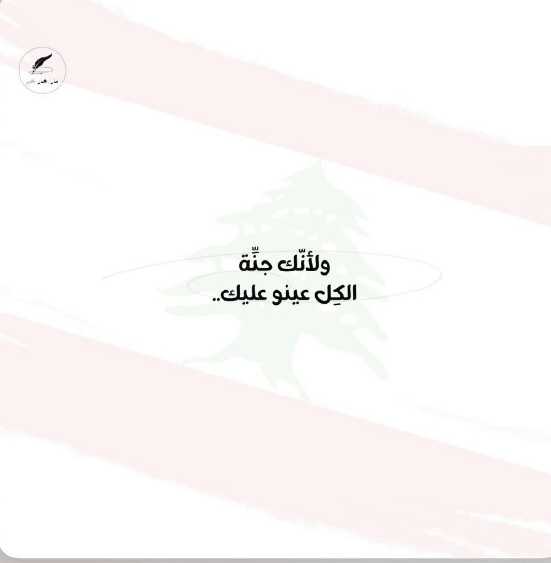 Layal Abboud tweet media