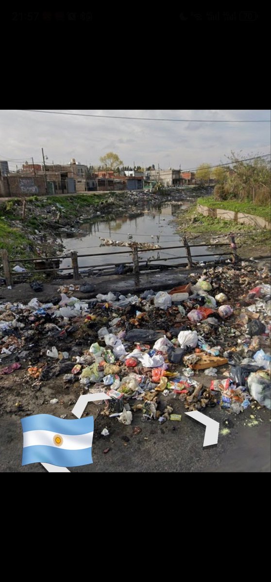 Raven枫❤️🇨🇳 tweet media